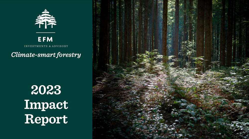EFM Impact Report cover showing trees and title