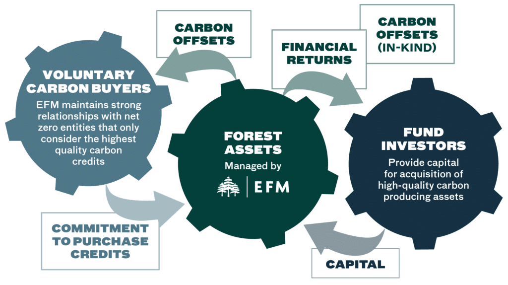 Carbon Credits - EFM