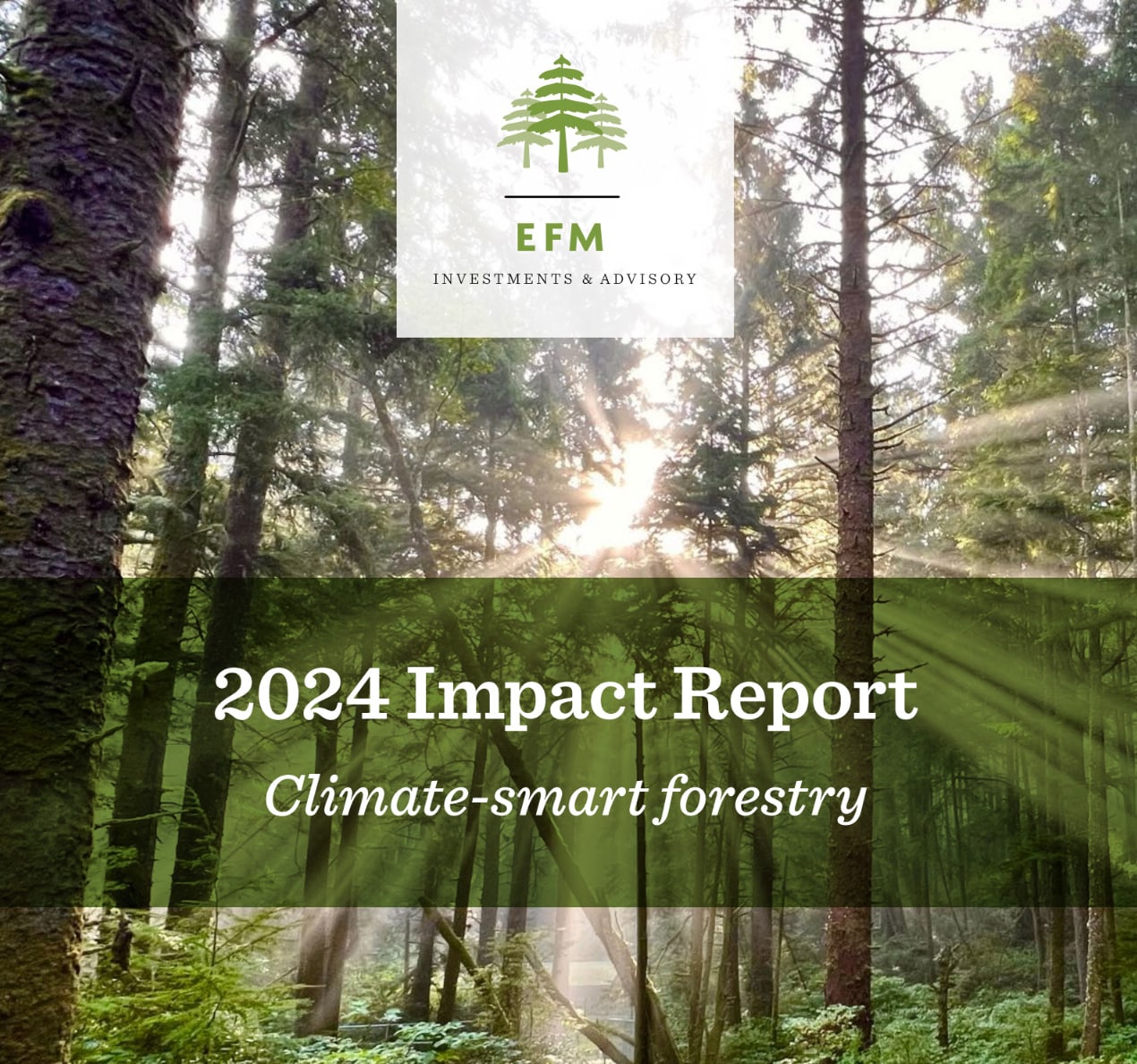 A sunlit forest with tall trees and green foliage; text overlay reads "EFM Investments & Advisory 2024 Impact Report: Climate-smart forestry and transparent impact reporting.
