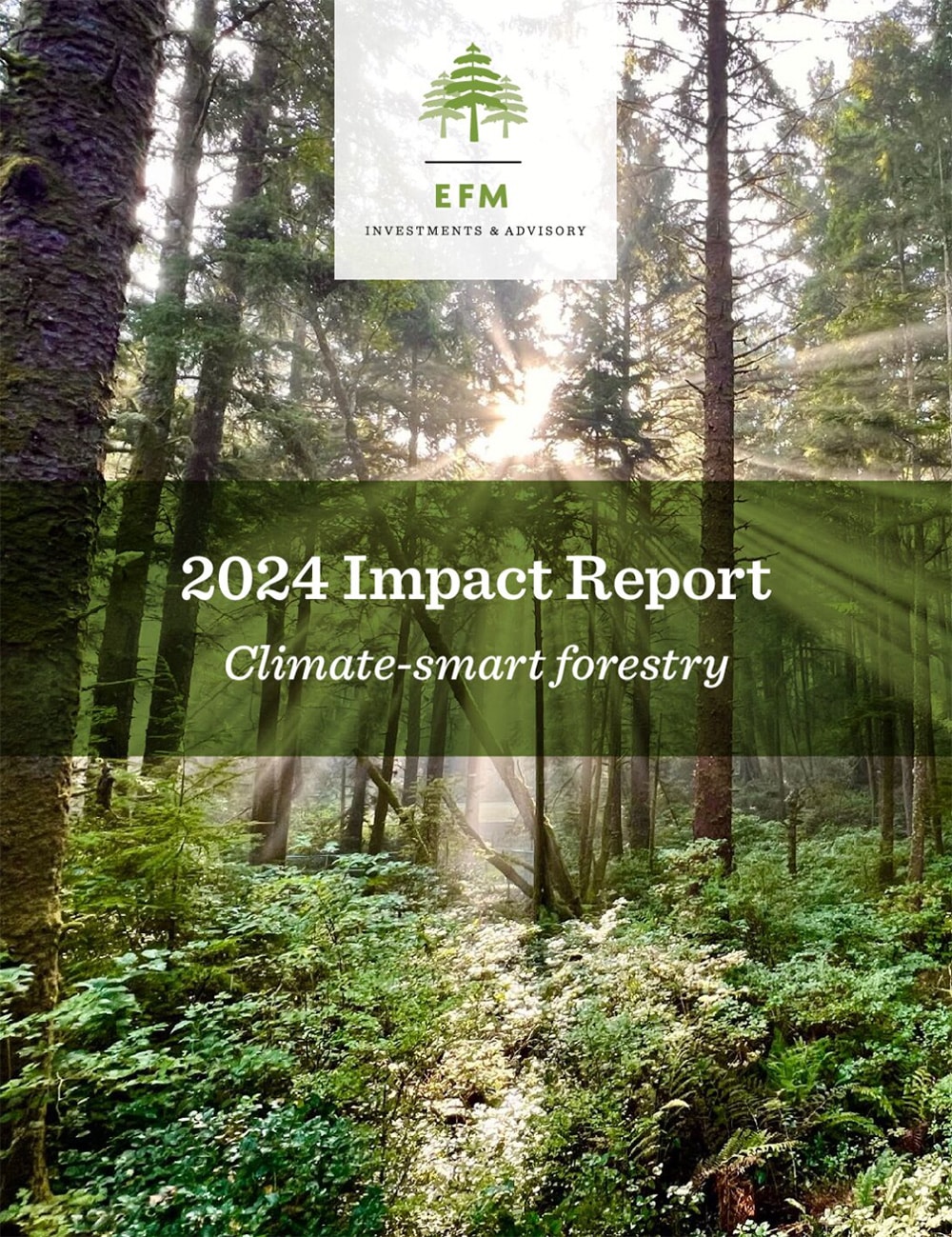 A forest with sunlight streaming through tall trees and lush greenery. Overlaid text reads: "EFM Investments & Advisory. 2024 Impact Report. Climate-smart forestry.