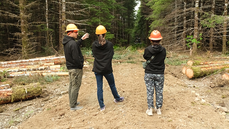 Three people wearing orange safety helmets and casual clothes stand on a dirt path in a forest, surrounded by cut logs and trees. They appear to be discussing something related to the logging area.