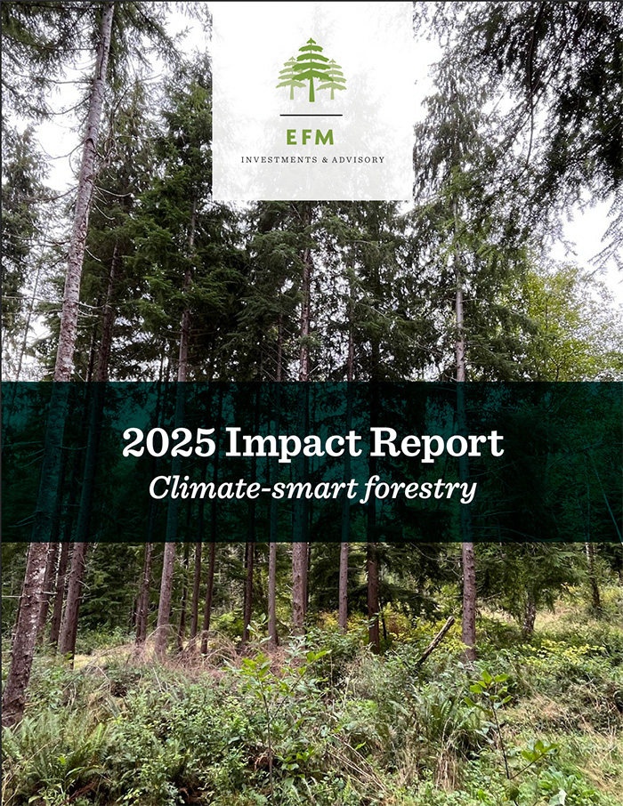 A forest with sunlight streaming through tall trees and lush greenery. Overlaid text reads: "EFM Investments & Advisory. 2025 Impact Report. Climate-smart forestry.